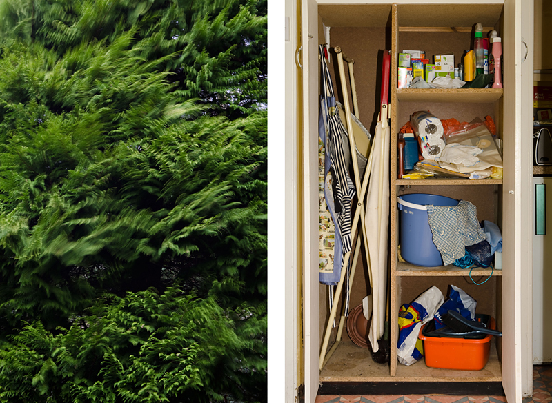 Marsha Dunstan, Threshold: Tree/Cupboard