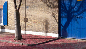 Marsha Dunstan: Pink tree (i, 2007)