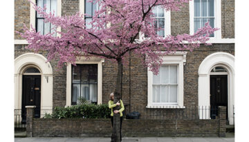 Marsha Dunstan: Pink tree (i, 2009)