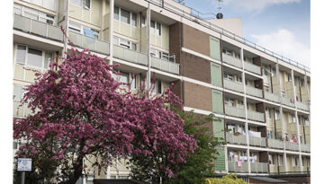 wfi3 2015 Pinktree i